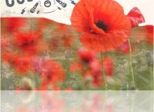 Brochure Programmation Culturelle 2018