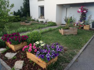 Maisons Fleuries 2017
